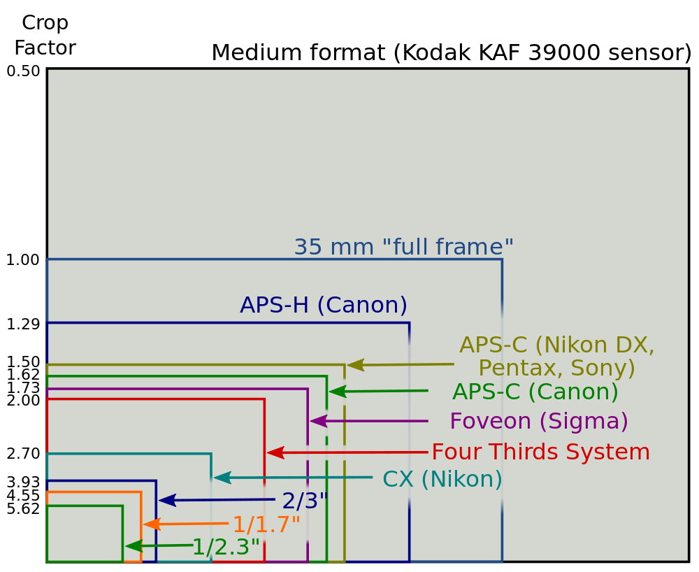 Sensor-Sizes-and-Crop-Factors